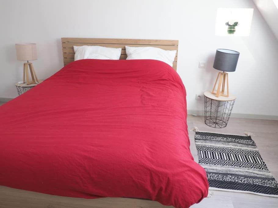Appartement Duplex Et Terrasse A St Servan-St Malo Saint-Malo Kültér fotó